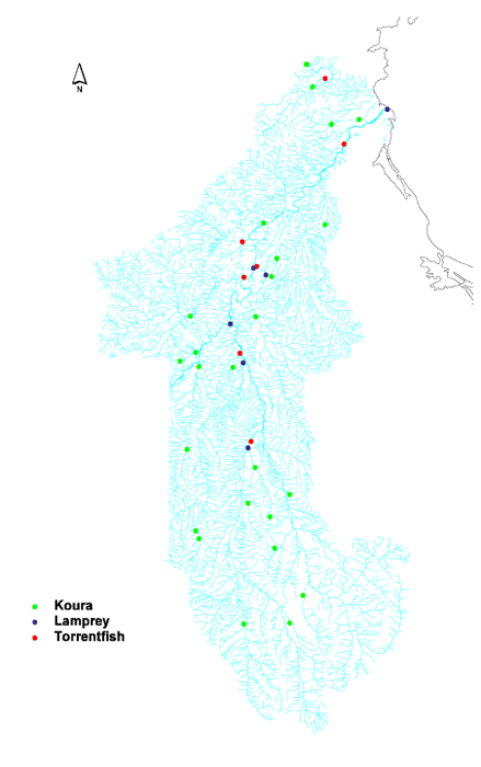 Distribution of other fish