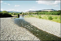 Low flow in the Motueka River in summer