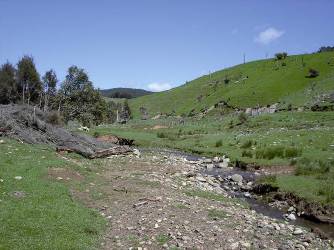 Site of possible dam in Upper Motupiko