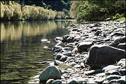 Clear waters of Motueka River