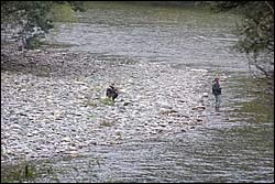 Anglers in the Motueka River
