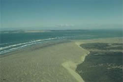 South Head, Kaipara Harbour (Photo: DOC)