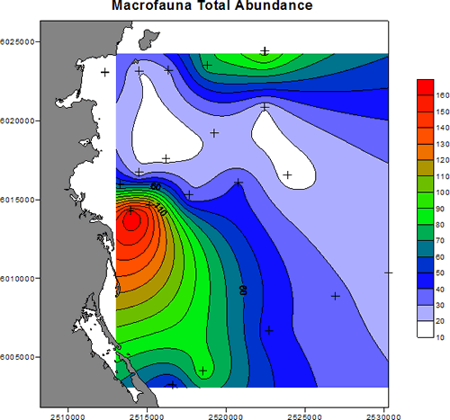 Fig. 3 Spatial distributions of macrofauna abundance in marine sediments of Tasman Bay
