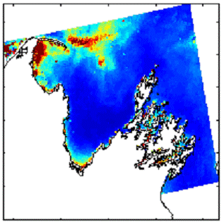 Fig. 1 Remotely sensed monthly average algal chlorophyll concentrations for December 2005.