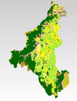 Current land uses in the Motueka Catchment used to create scenarios of land use change in ENVISION.