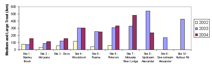 Counts of medium and large trout per km of river at the 10 randomly sited drift dive reaches in the Motueka River 