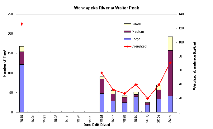 Drift dive data from the Riwaka River