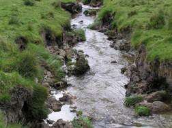 Waiwhero stream condition
