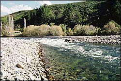 Motueka River near Ngatimoti