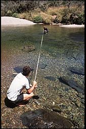 Measuring black disc water clarity at Cobb River