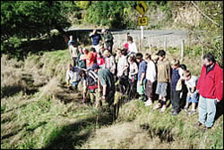 Ngatimoti school observing electric fishing