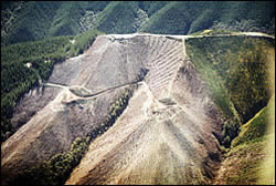 Steepland forest harvesting Richmond Range