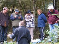 River health assessment