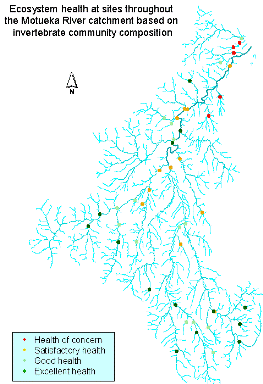 Stream health of the Motueka River catchment