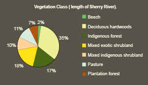 Sherry River vegetation