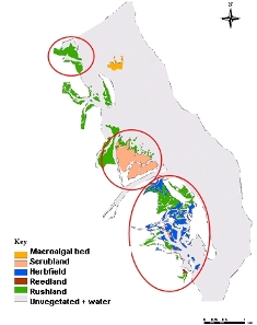 1947 habitat map