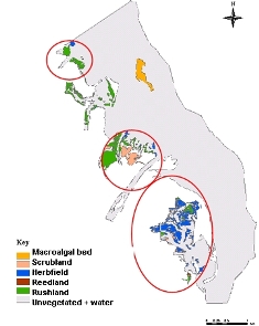 2001 habitat map