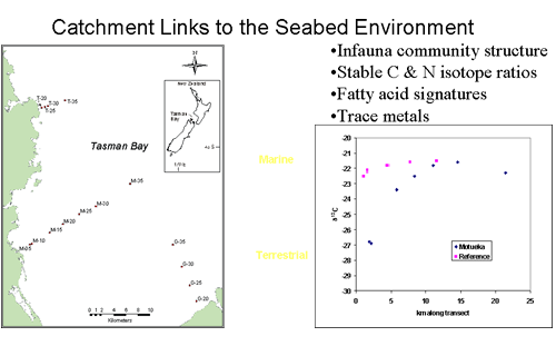 Terrestrial links